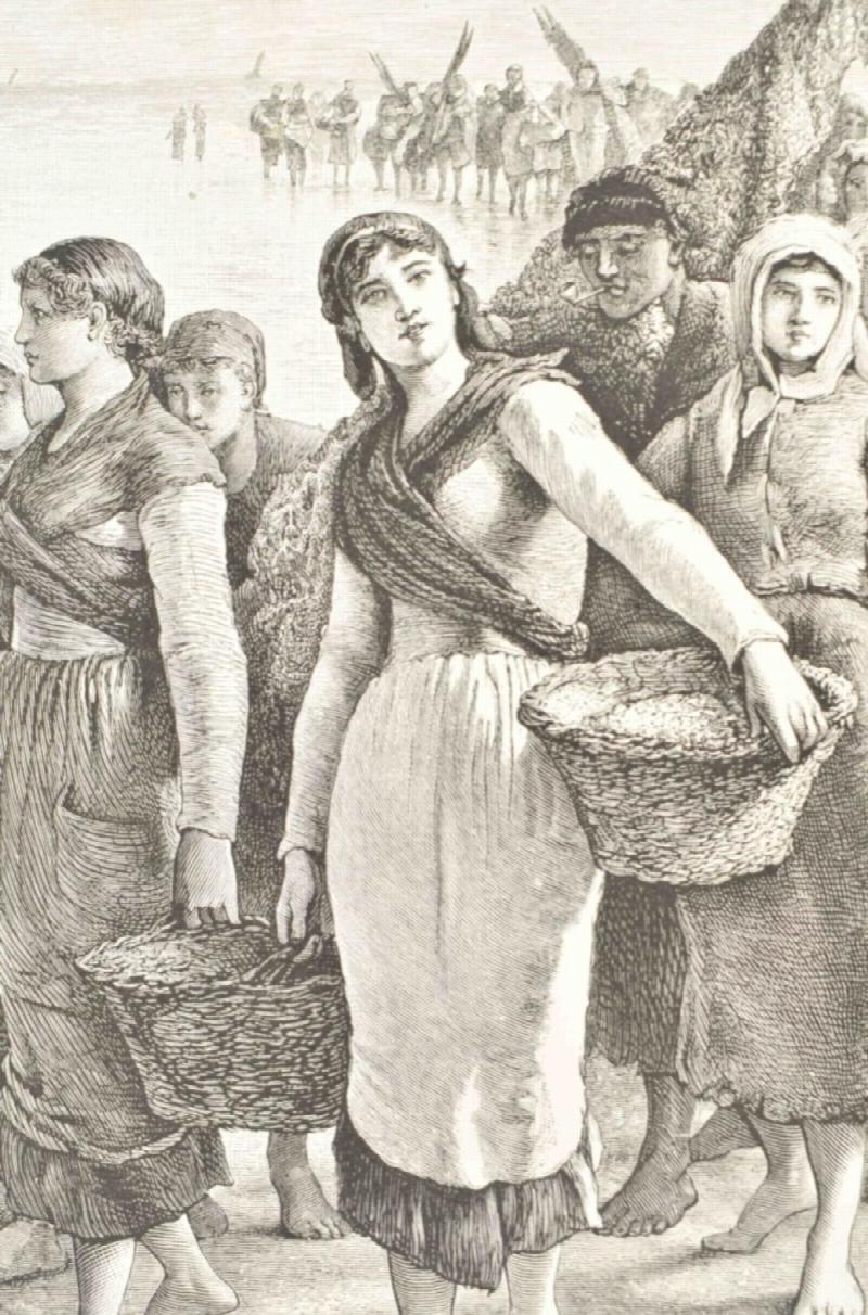 Image for Sea pictures drawn with pen and pencil. 1884, in Fine binding