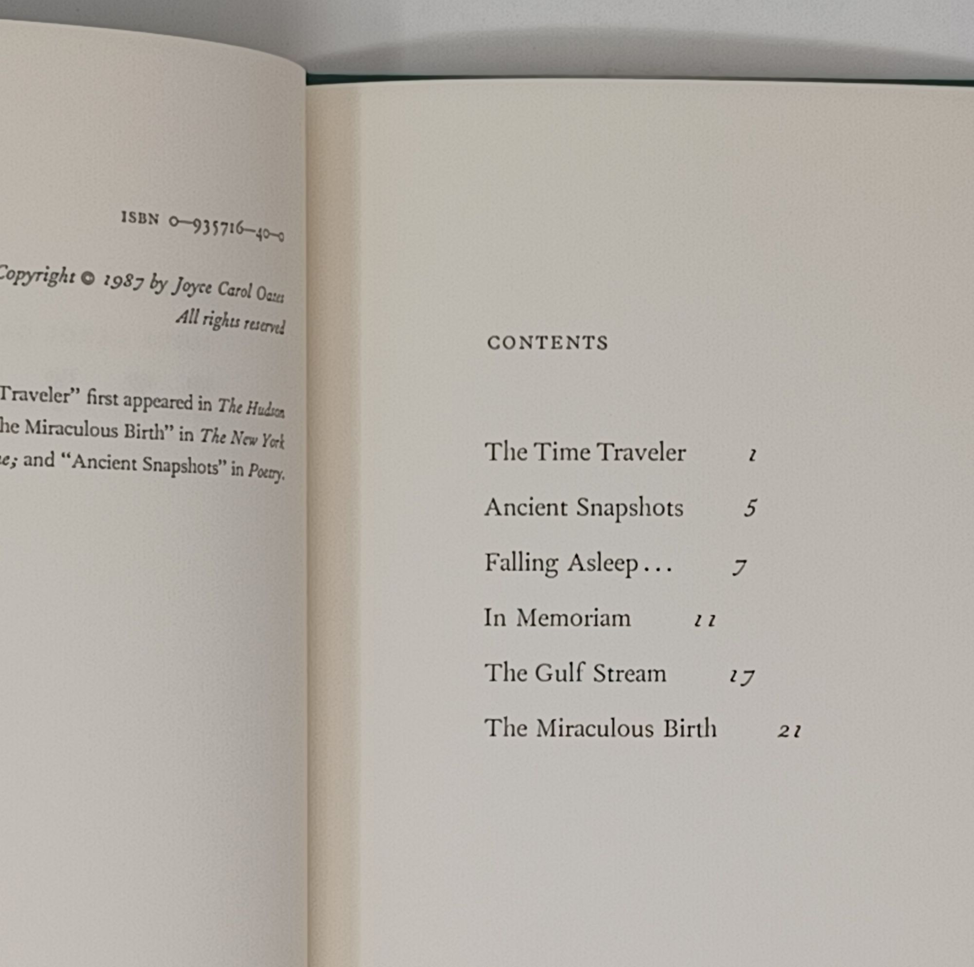 The Time Traveler -