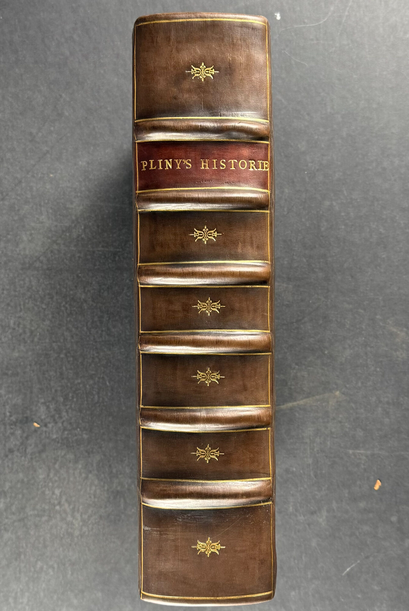 Pliny the Elder's Historie of the World, Commonly Called, The Natural Historie of C. Plinius Secondus - (1634, 2 Volumes bound in 1)