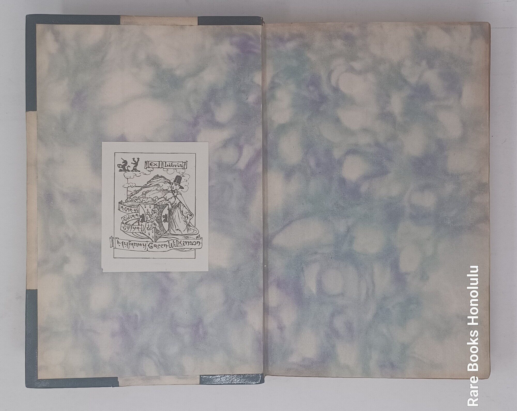 Image for The Vicar of Wakefield - in custom binding The Vicar of Wakefield - in custom binding