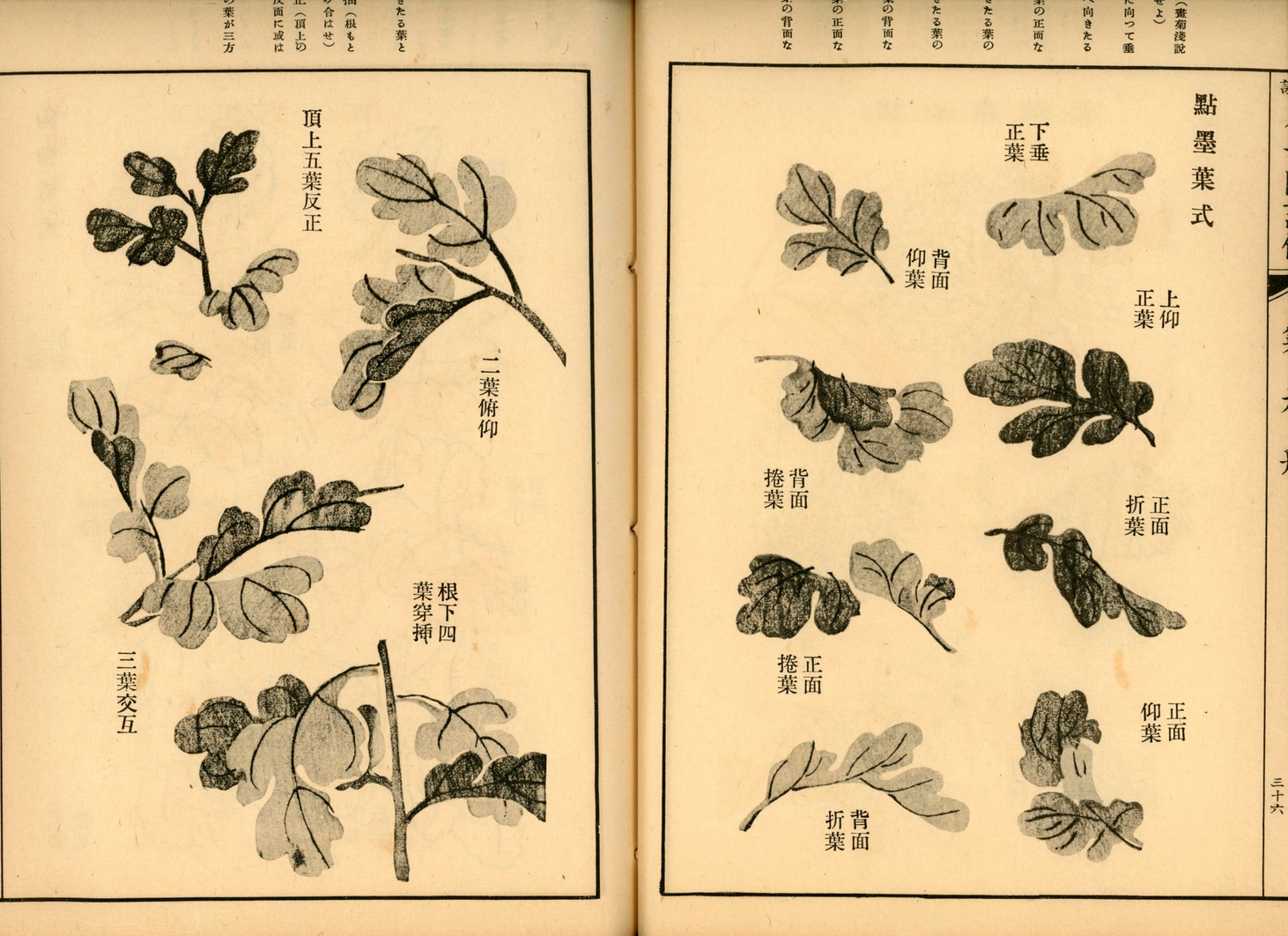 Mustard Seed Garden Painting Manual, - - 3 parts in 13 vols. Showa 5 (1930)