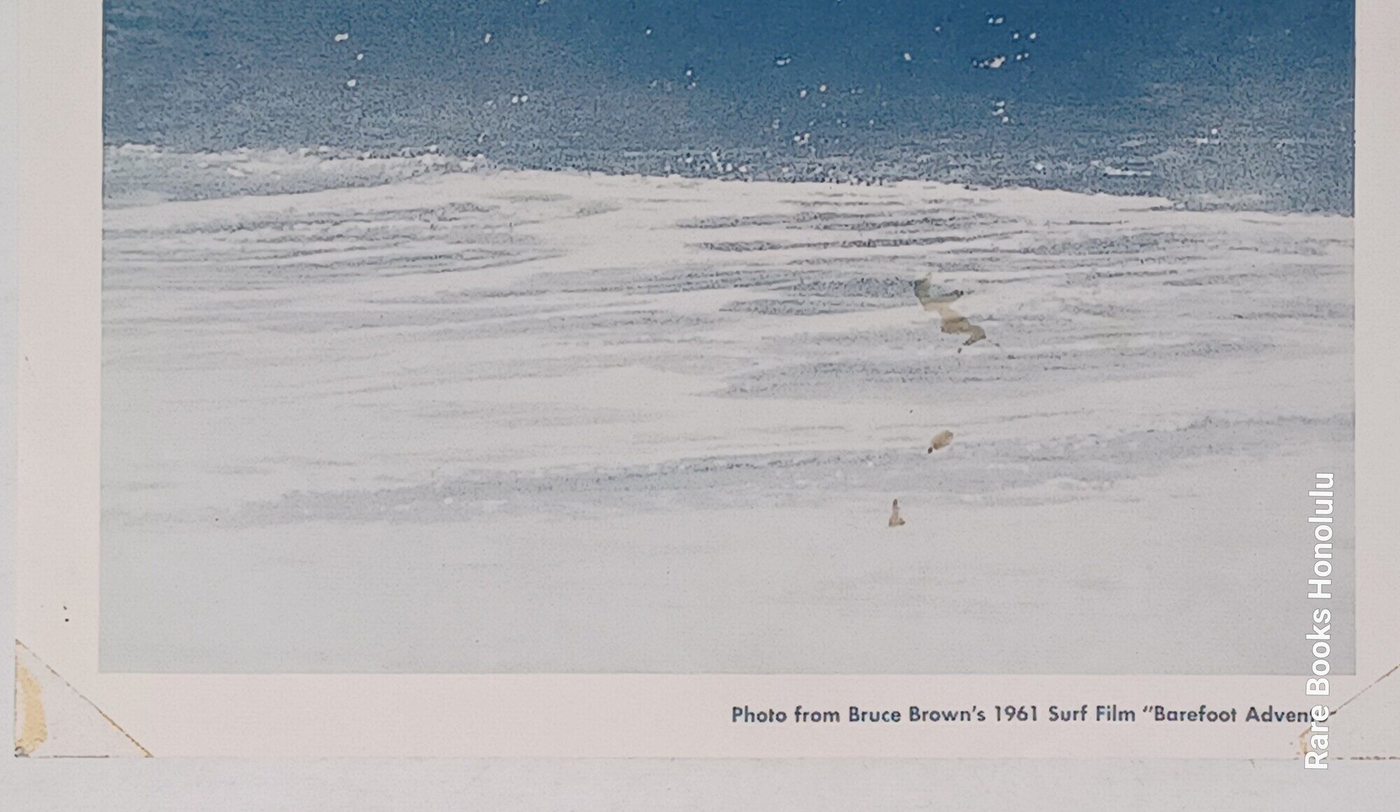 5 Lobby Cards for Bruce Brown's film BAREFOOT ADVENTURE (1961)