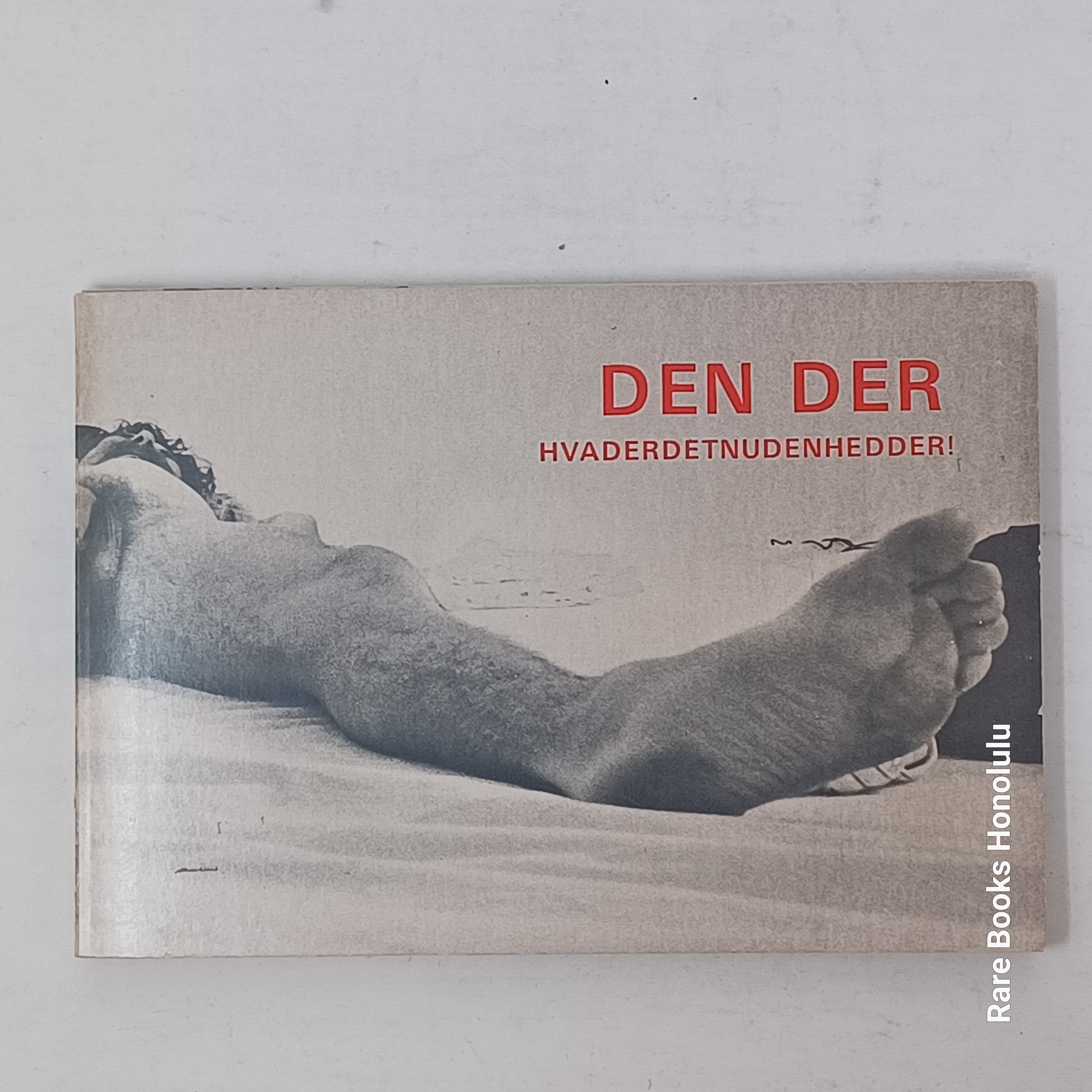 Very Rare: DEN DER hvaderdetnudenhedder! - (1969, Danish photo book about Sex experiment