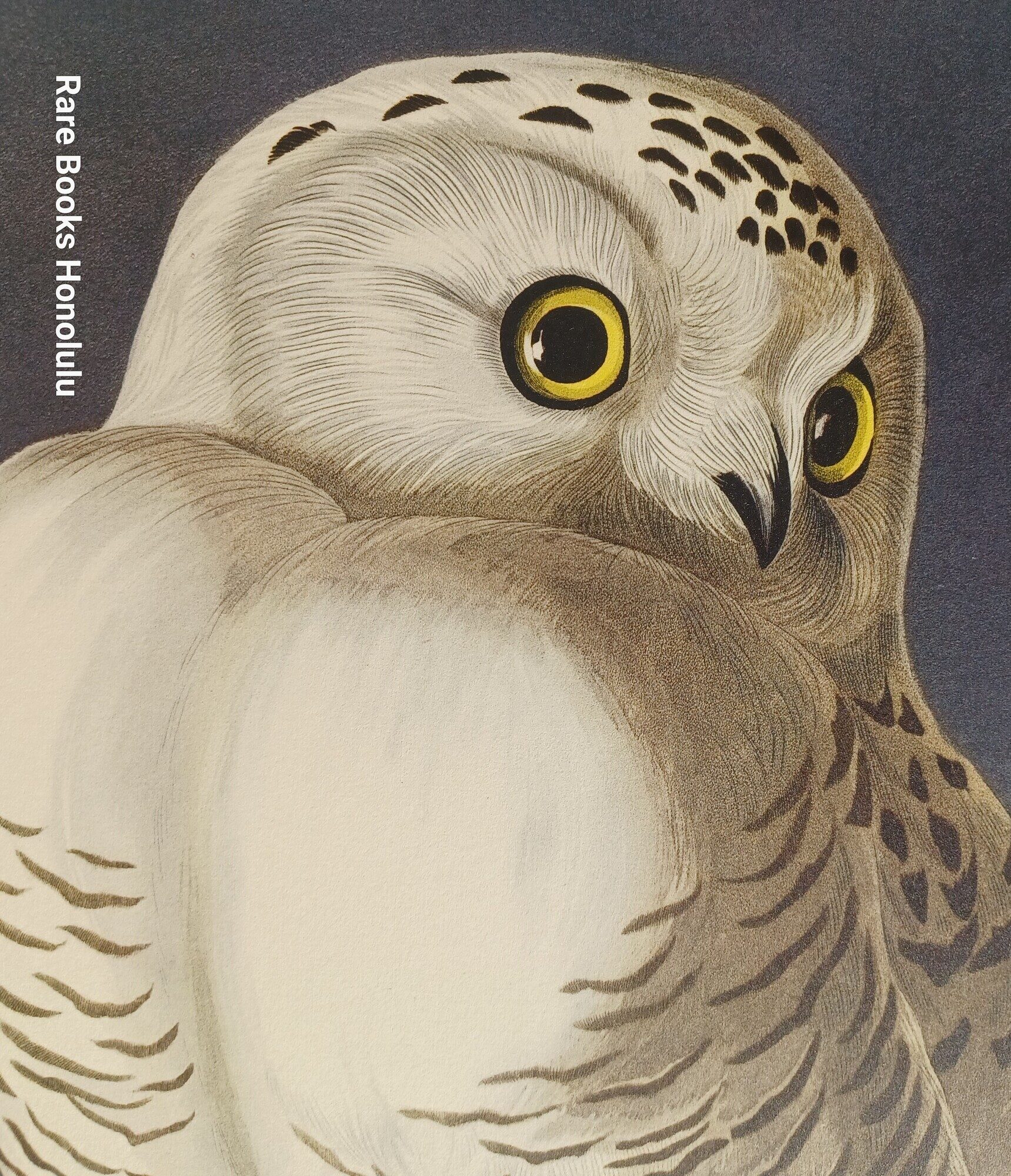 The Birds of America. A facsimile edition of 20 plates of the Double Elephant Folio! RARE. (1972) + the rare prospectus