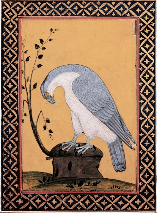 The Canticle of the Birds: Illustrated Through Persian and Eastern Islamic Art - (the rare large format edition, 2014)