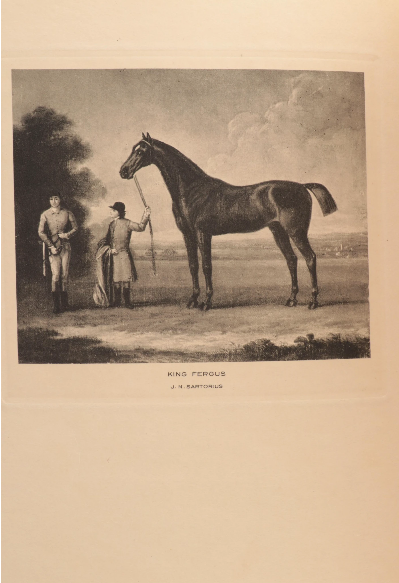Cherished Portraits of Thoroughbred Horses
