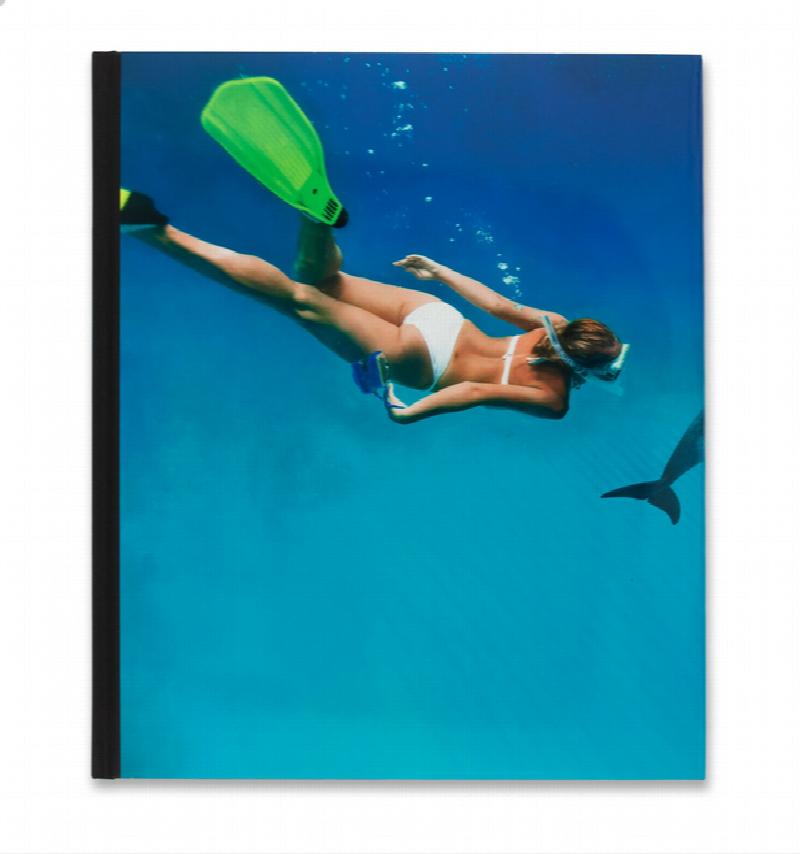 Image for Damien Hirst Fact Paintings and Fact Sculptures