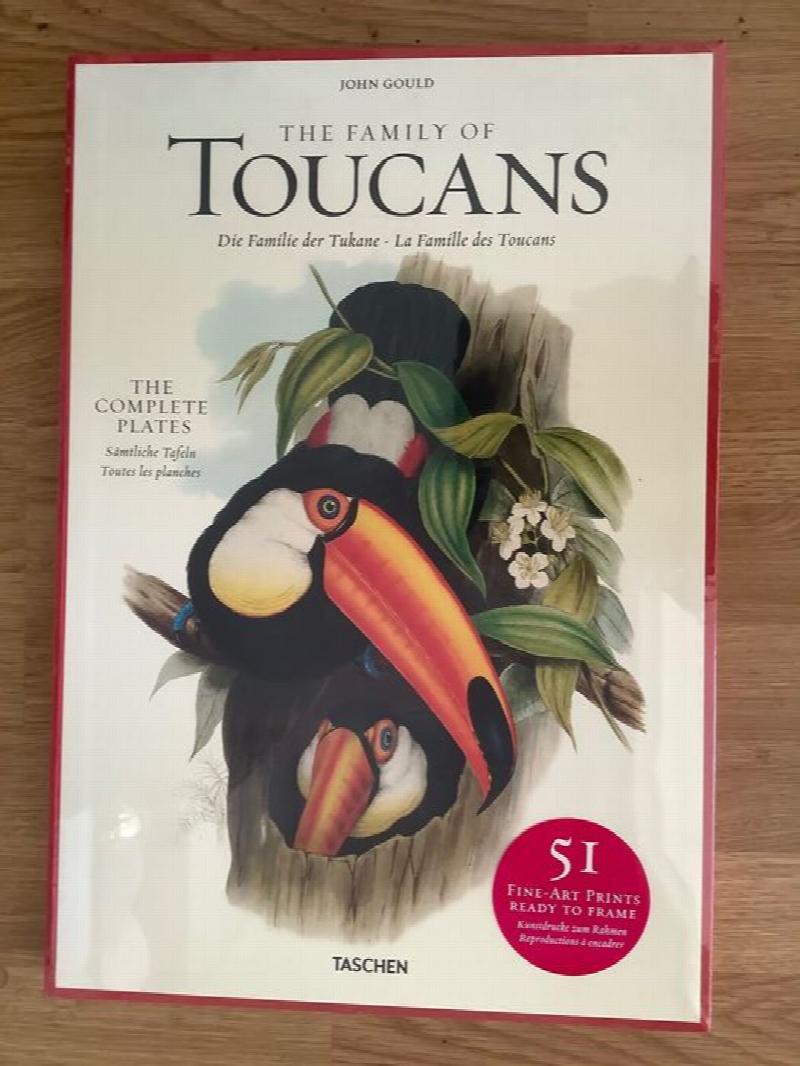 Image for The Family of Toucans